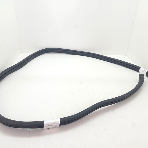 Borracha Porta Dianteira Direita Hyundai Hb20 1.0 Sense
