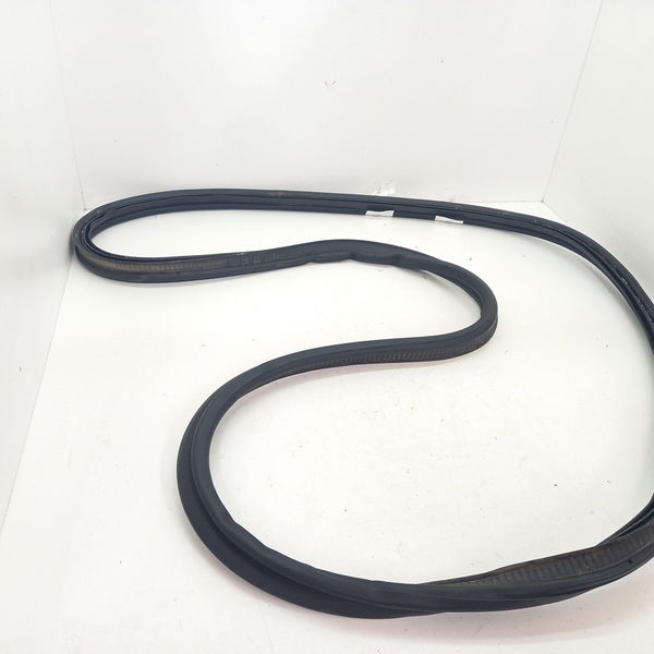Borracha Porta Ma Hyundai Hb20 1.0 Sense 2021
