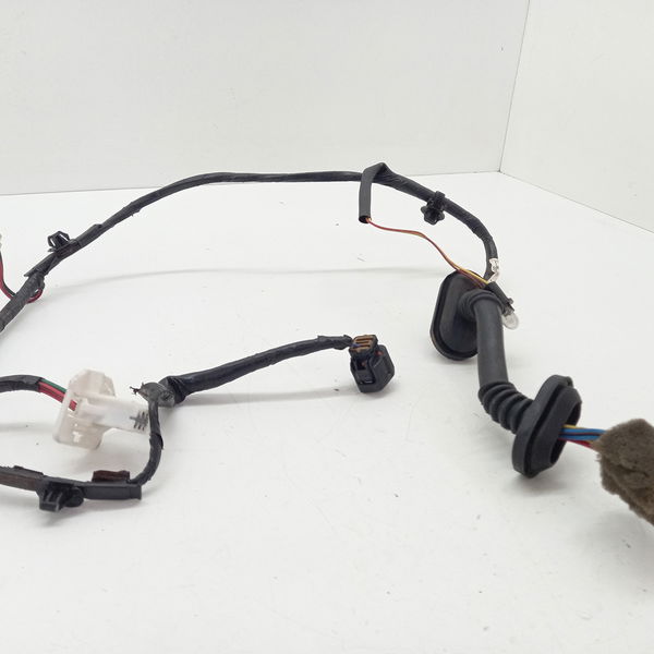 Chicote Porta Traseira Esquerda Mitsubishi Pajero Tr4 2007