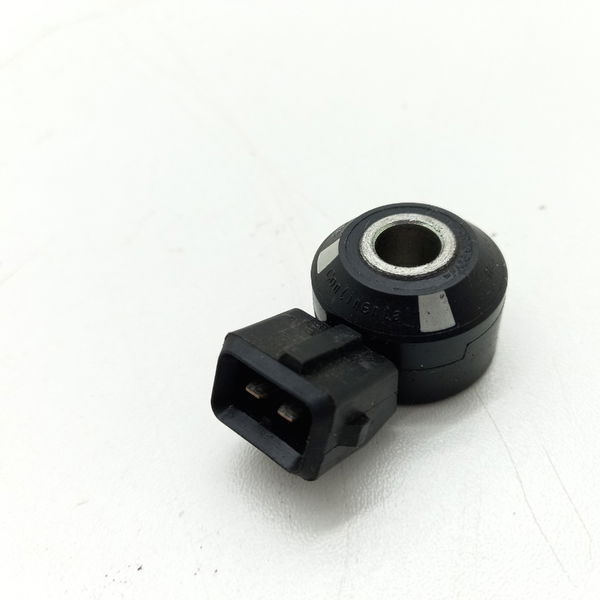 Sensor Detonação Nissan Sentra 2.0 2015