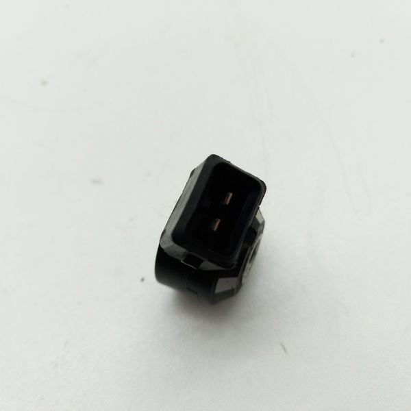 Sensor Detonação Nissan Sentra 2.0 2015