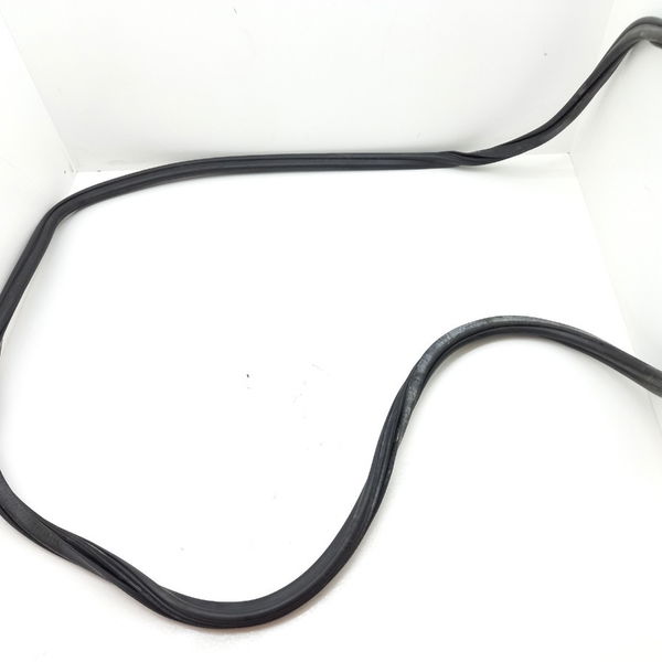 Borrachas Porta Audi A4 2.0 2009