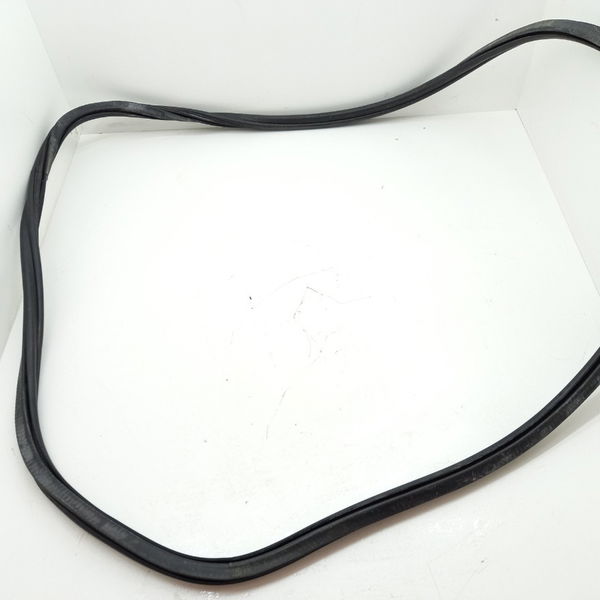 Borrachas Porta Audi A4 2.0 2009