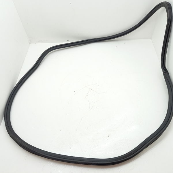Borrachas Porta Audi A4 2.0 2009