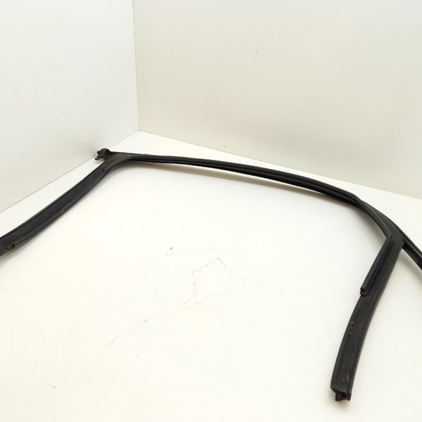 Borracha Porta Ext. T.d Audi A4 2.0 2009