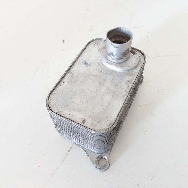 Trocador Calor Motor Audi A4 2.0 2009
