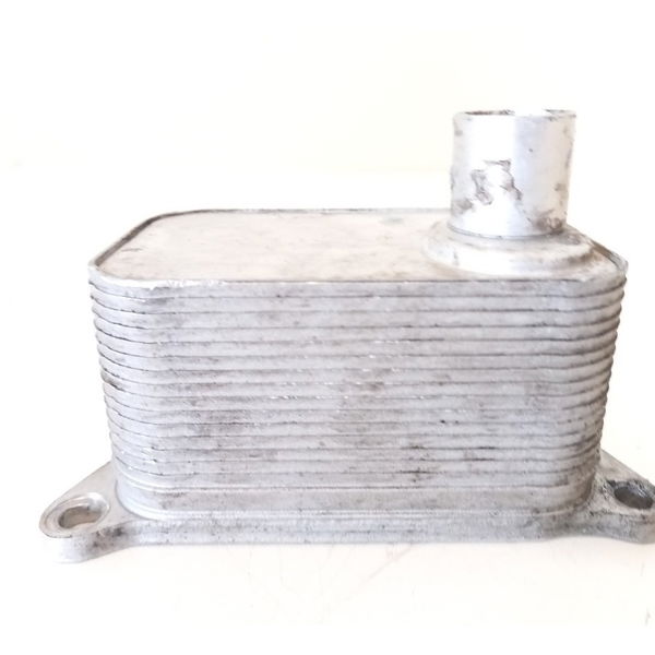 Trocador Calor Motor Audi A4 2.0 2009