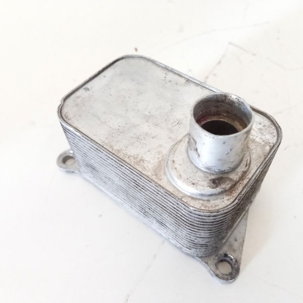 Trocador Calor Motor Audi A4 2.0 2009