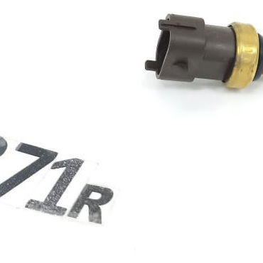 Sensor Temperatura Água Jeep Renegade 2020 55261955