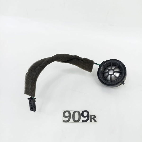 Twitter Porta Traseira Direita Land Rover Discovery V8 2010