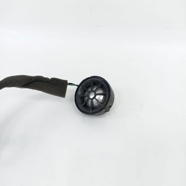 Twitter Porta Traseira Direita Land Rover Discovery V8 2010
