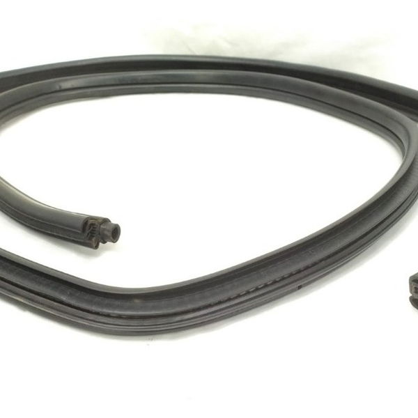 Borracha Porta Traseira Esquerda Bmw X1 2013