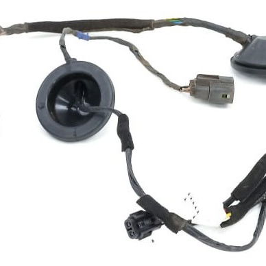 Chicote Porta Traseira Direita Hyundai Sonata 2011