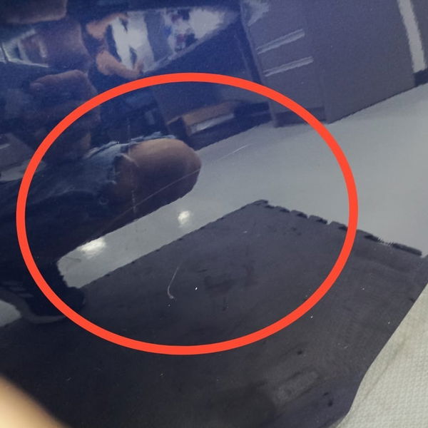 Porta Lata Traseira Esquerda Vw Golf Gti 2019