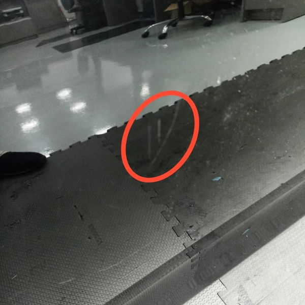 Porta Lata Dianteira Esquerda Bmw X4 2017  Detalhe