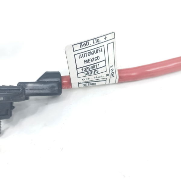 Cabo Positivo Bateria Bmw X4 2017 10299011