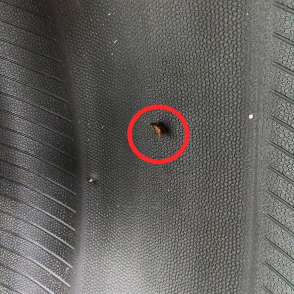 Pneu Pirelli Scorpion Str P265/50r20 N2  Detalhe Dot 4516