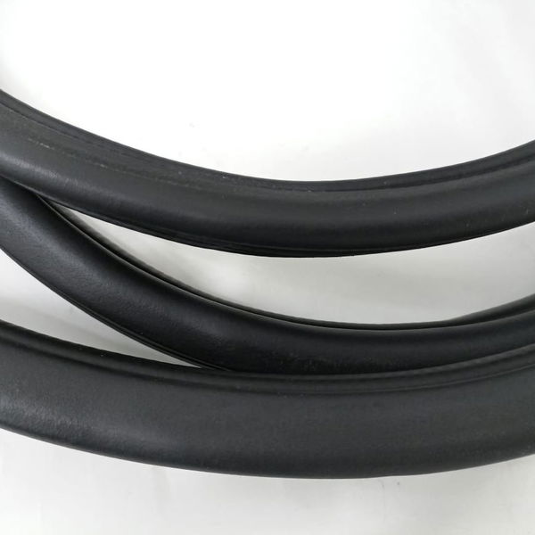 Borracha Porta Traseira Direita Ford Fusion 2.3 Sel 2008