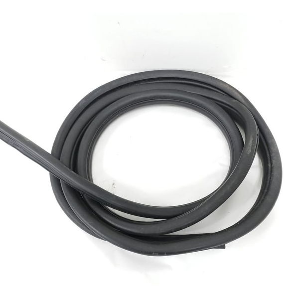 Borracha Porta Dianteira Direita Ford Fusion 2.3 Sel 2008