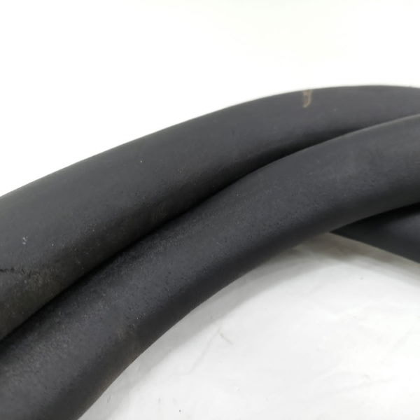 Borracha Porta Traseira Esquerda Compass Flex 2018.19