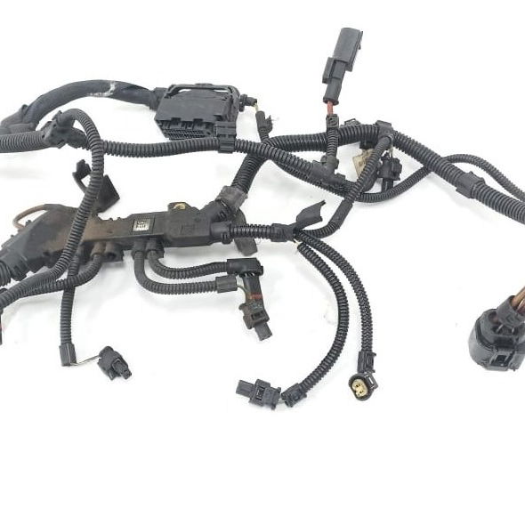 Chicote Injeção Bmw X1 2013 Eq00062305