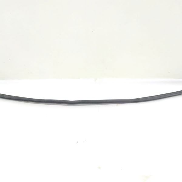 Borracha Parabrisa Mini Cooper S 2012