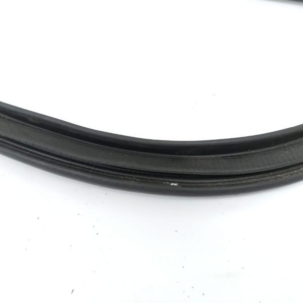Borracha Vedação Porta Diant Esquerda Toyota Corolla 2016