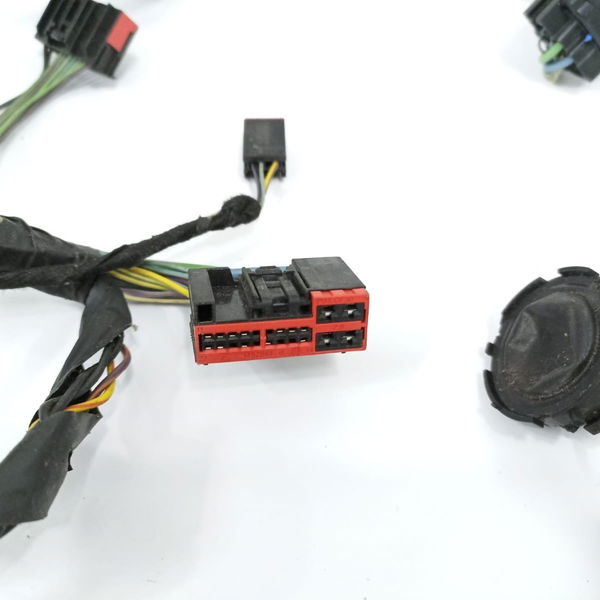 Chicote Porta Dianteira Esquerda Ford Focus 2016