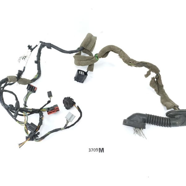 Chicote Porta Dianteira Esquerda Ford Focus 2016