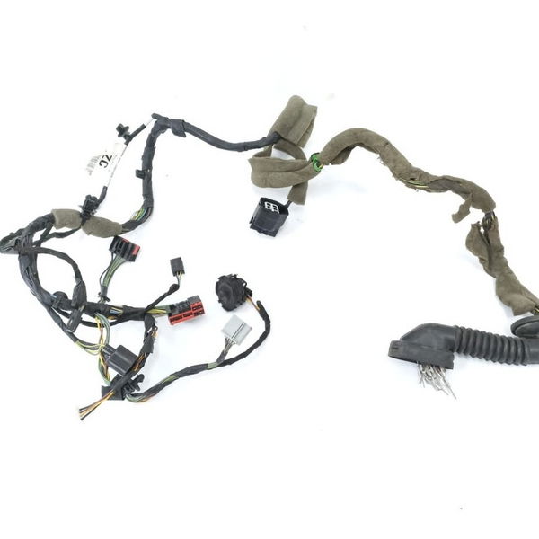 Chicote Porta Dianteira Esquerda Ford Focus 2016