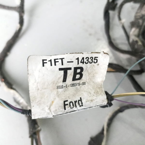 Chicote Motor Ford Focus 2016 F1ft-14335
