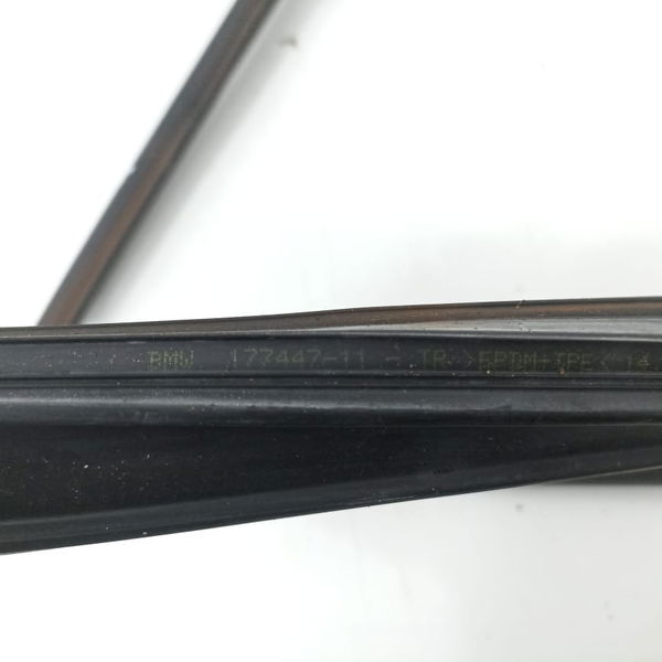 Borracha Guarnição Porta Traseira Direita Bmw 320i 2015