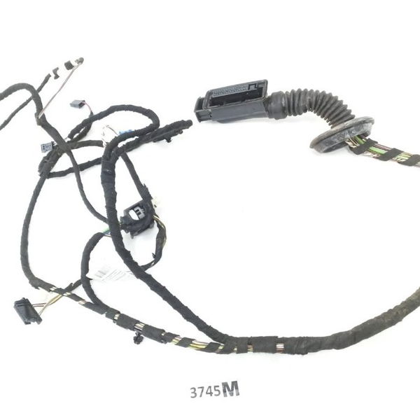 Chicote Porta Traseira Esquerda Bmw 320i 2015