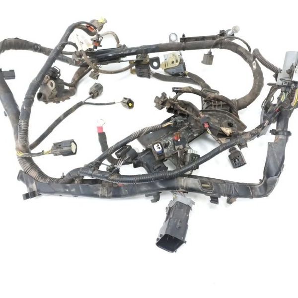 Chicote Injeção Motor Ford Ka 1.0 3cc 2020