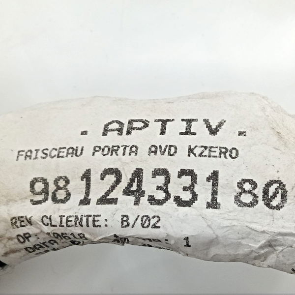 Chicote Porta Dianteira Direita Citroen Jumpy 2020