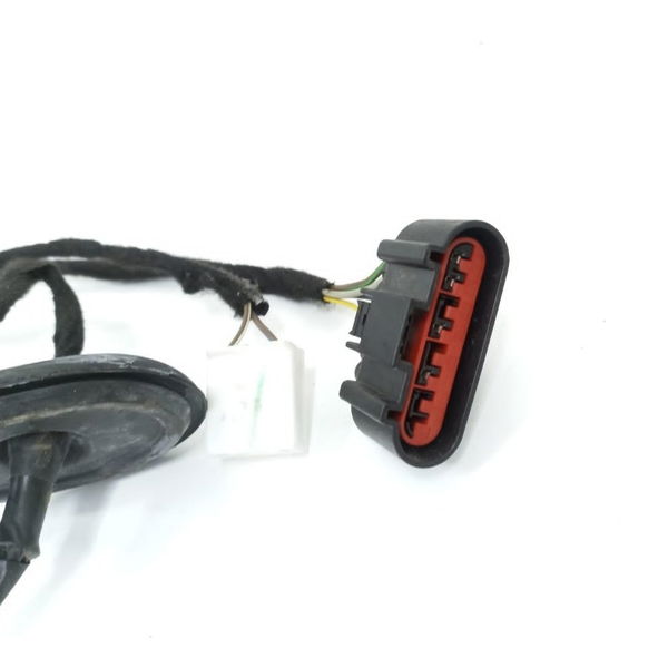 Chicote Porta Traseira Direita Ford Ka 1.0 3cc 2020-21