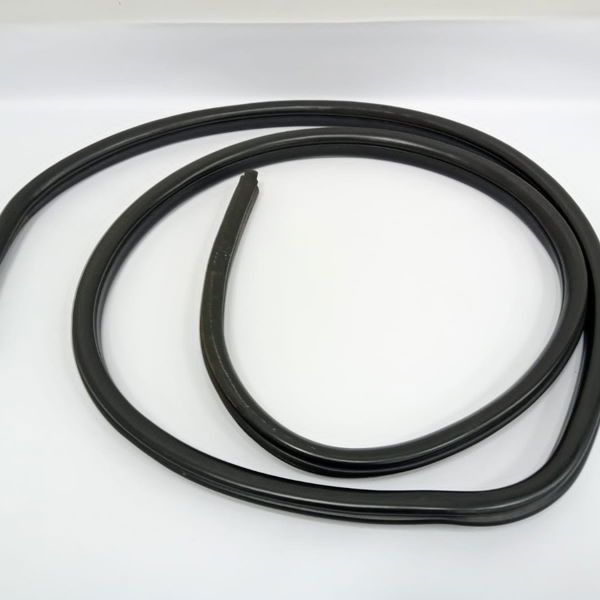 Borracha Porta Dianteira Direita Bmw X1 2012