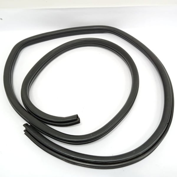 Borracha Porta Traseira Esquerda Bmw X1 2012