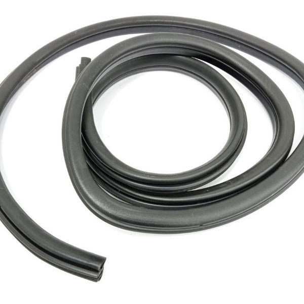 Borracha Porta Traseira Direita Bmw X1 2012