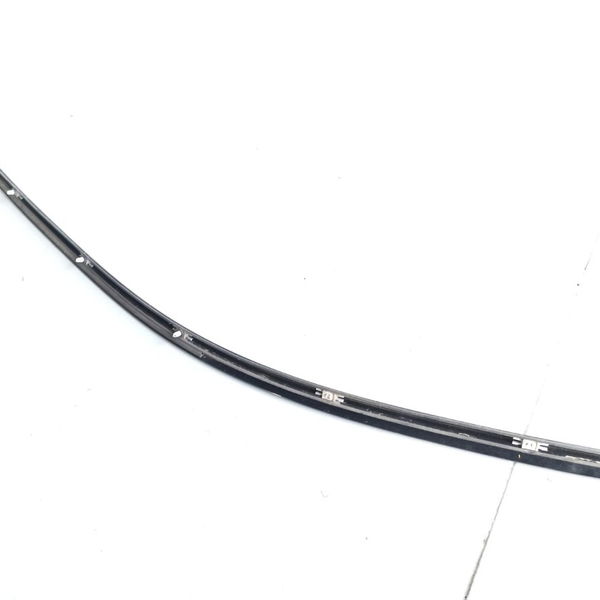 Friso Esquerdo Lateral Teto Bmw 328i 2014