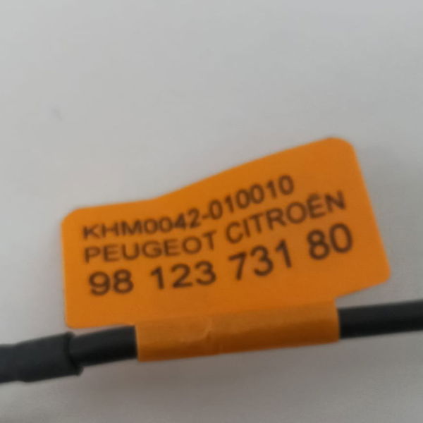 Microfone Teto Citroen C4 Cactus 2022