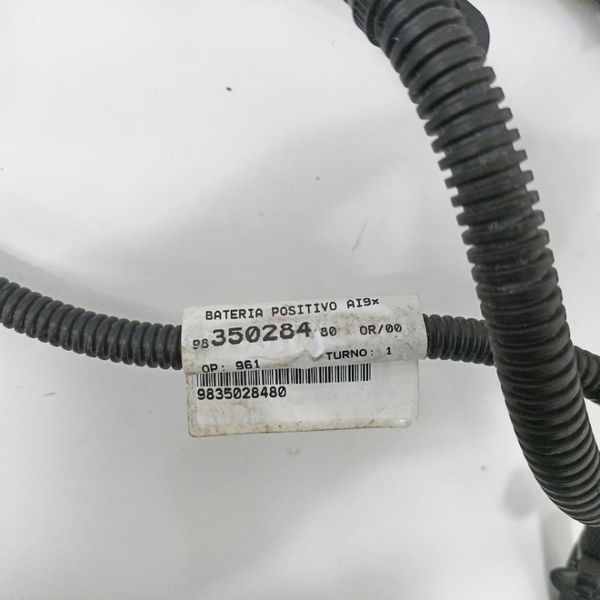 Cabo Bateria Citroen C4 Cactus 2022