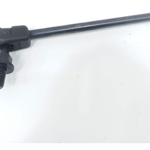 Amortecedor Esquerdo Tampa Traseira Hb20 1.0 M Comfort 2022