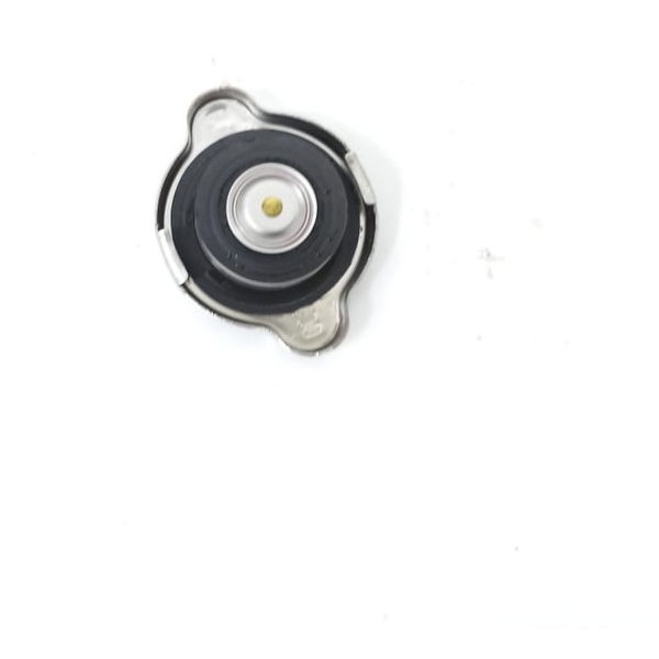 Tampa Radiador Hyundai Hb20 1.0 M Comfort 2022-23