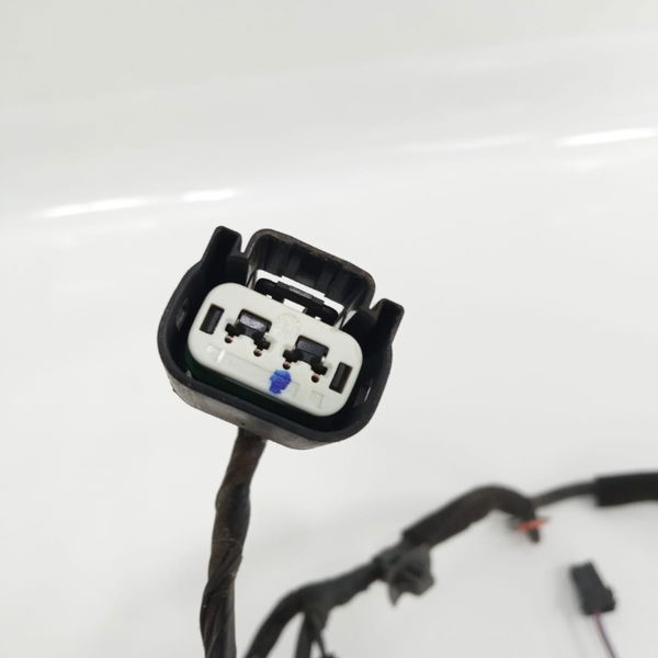 Chicote Porta Traseira Esquerda Hyundai Hb20s 1.0 2019