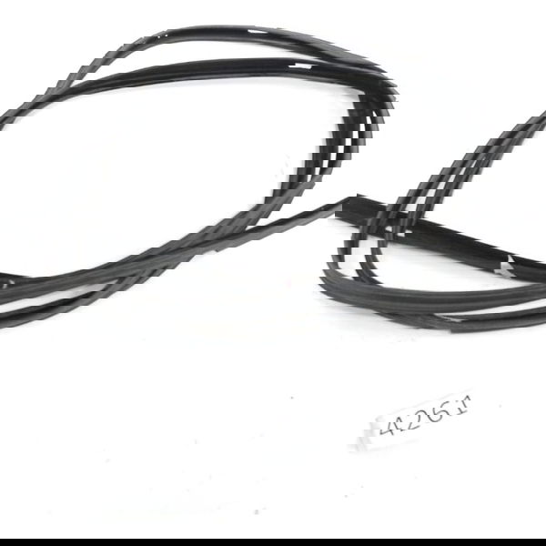 Vedação Porta Dianteira Esq Mercedes-benz Axor 1933 2012