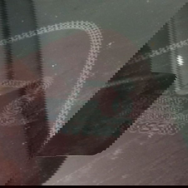 Vidro Fixo Esquerdo Nissan Sentra 2015