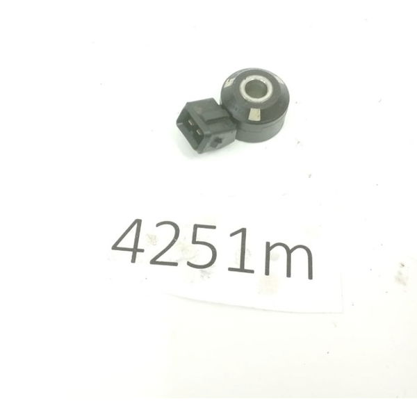 Sensor Detonação Nissan Sentra 2015