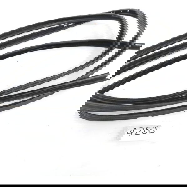 Vedação Porta Dianteira Direita Mercedes-benz Axor 1933 2012