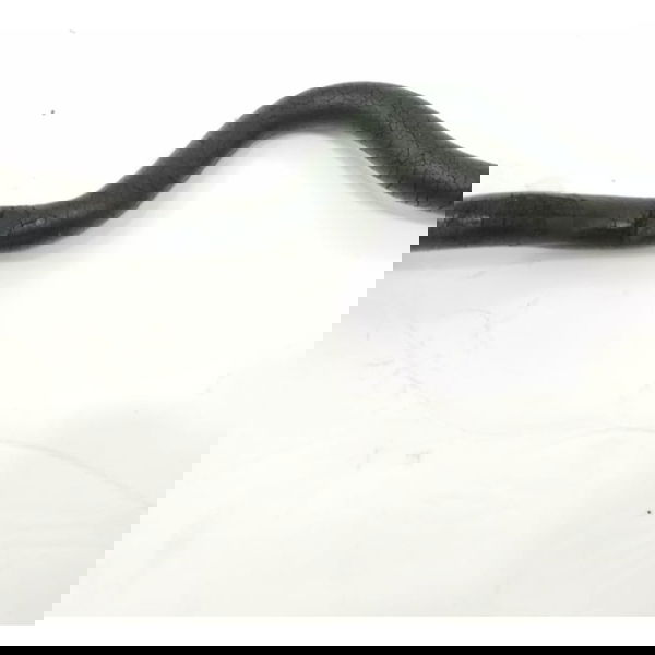 Mangueira Cano Válvula Pneumática Mercedes Axor 1933 2012